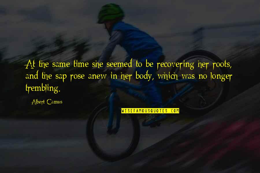 Siftings Quotes By Albert Camus: At the same time she seemed to be Siftings Quotes By Albert Camus: At the same time she seemed to be