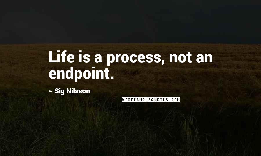 Sig Nilsson quotes: Life is a process, not an endpoint.