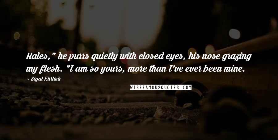 Sigal Ehrlich quotes: Hales," he purrs quietly with closed eyes, his nose grazing my flesh. "I am so yours, more than I've ever been mine.