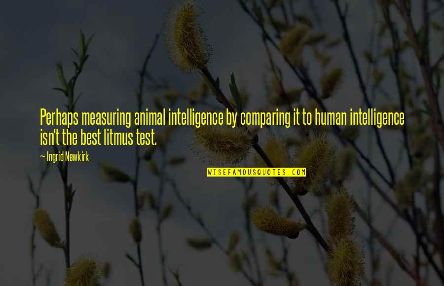 Siggins Horse Quotes By Ingrid Newkirk: Perhaps measuring animal intelligence by comparing it to