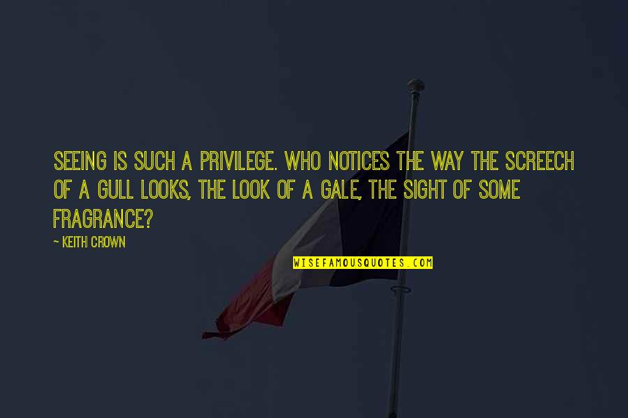Sight Seeing Quotes By Keith Crown: Seeing is such a privilege. Who notices the