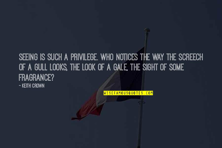Sight That Looks Quotes By Keith Crown: Seeing is such a privilege. Who notices the