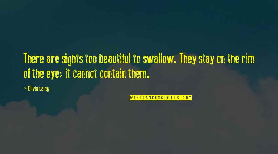 Sights Quotes By Olivia Laing: There are sights too beautiful to swallow. They
