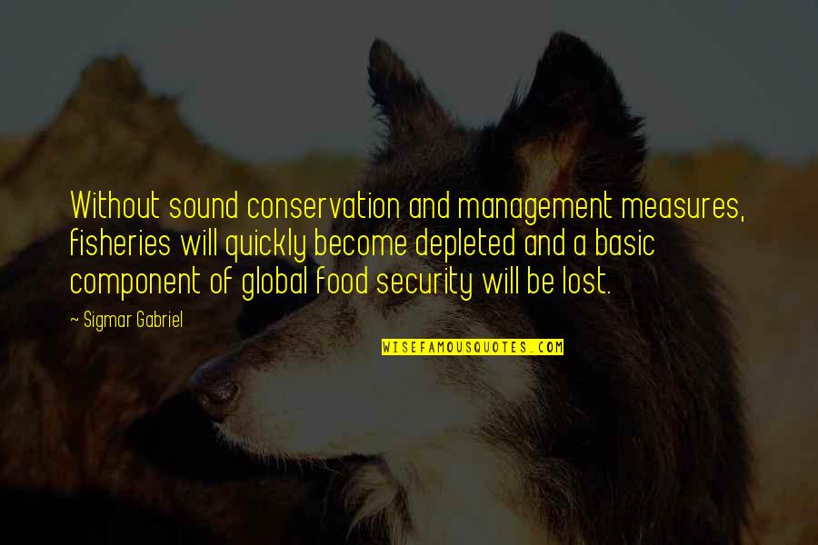 Sigmar's Quotes By Sigmar Gabriel: Without sound conservation and management measures, fisheries will Sigmar's Quotes By Sigmar Gabriel: Without sound conservation and management measures, fisheries will