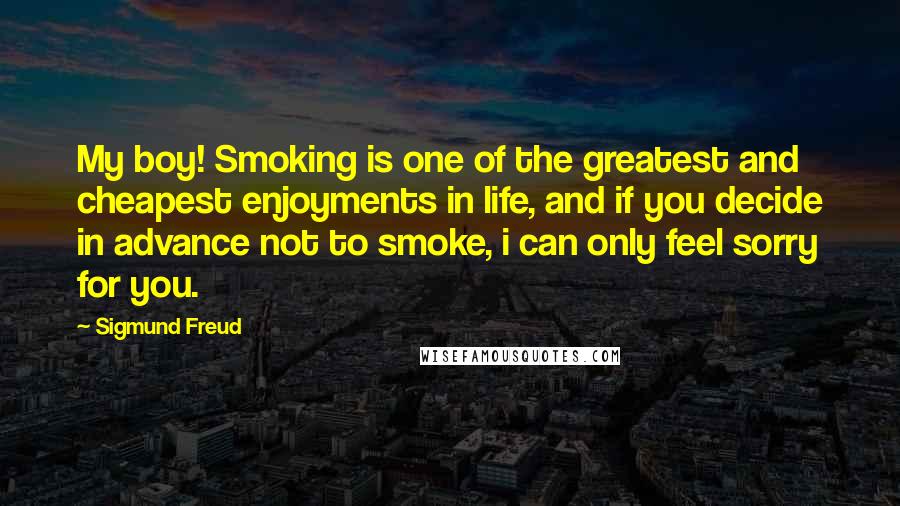 Sigmund Freud quotes: My boy! Smoking is one of the greatest and cheapest enjoyments in life, and if you decide in advance not to smoke, i can only feel sorry for you.