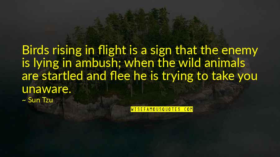 Sign And Quotes By Sun Tzu: Birds rising in flight is a sign that