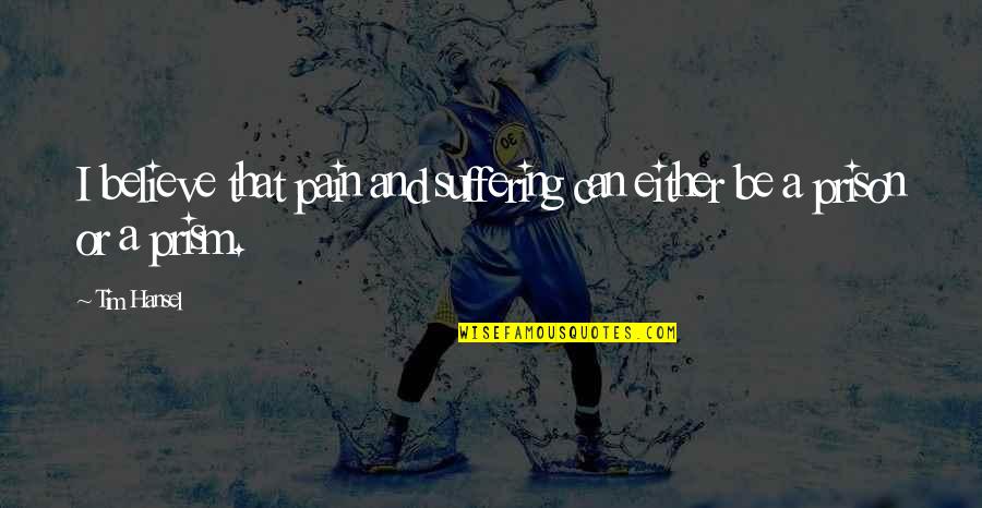 Sign Up Genius Quotes By Tim Hansel: I believe that pain and suffering can either