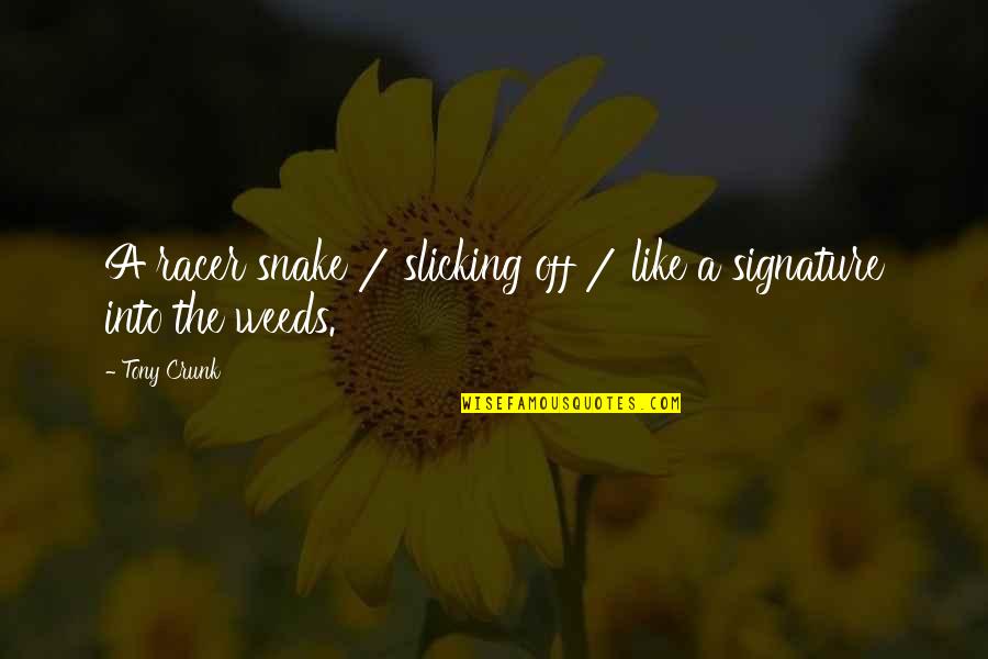 Signature Quotes By Tony Crunk: A racer snake / slicking off / like