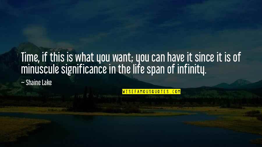 Significance Of Life Quotes By Shaine Lake: Time, if this is what you want; you