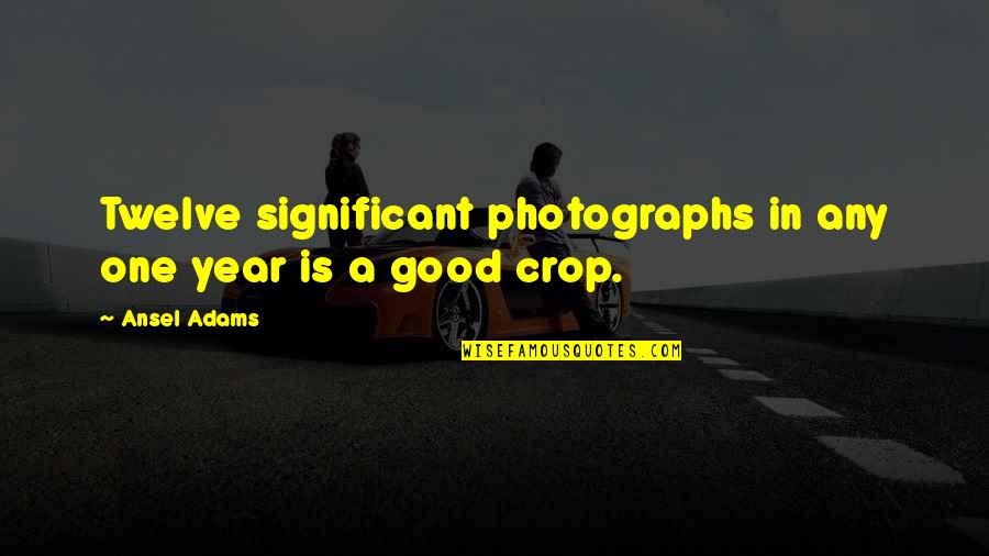 Significant One Quotes By Ansel Adams: Twelve significant photographs in any one year is