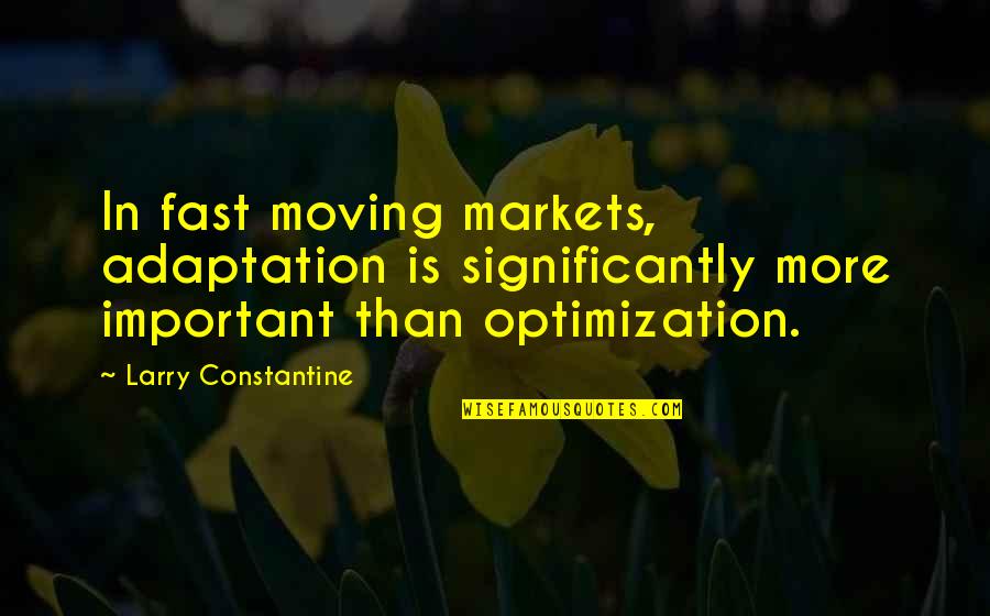 Significantly Quotes By Larry Constantine: In fast moving markets, adaptation is significantly more