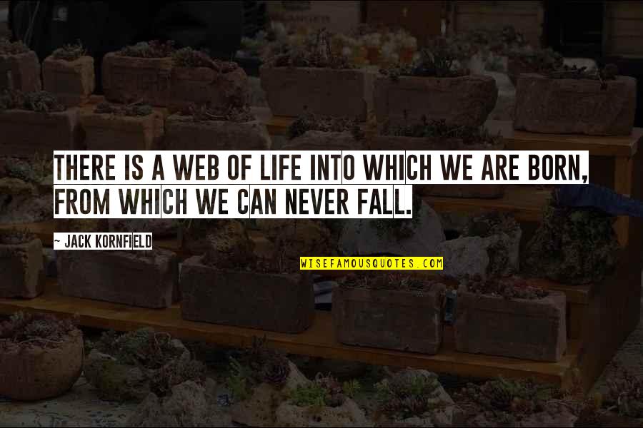 Signs As Garnet Quotes By Jack Kornfield: There is a web of life into which