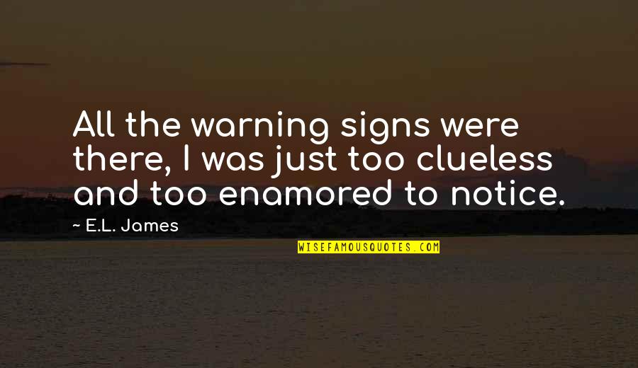 Signs To Quotes By E.L. James: All the warning signs were there, I was