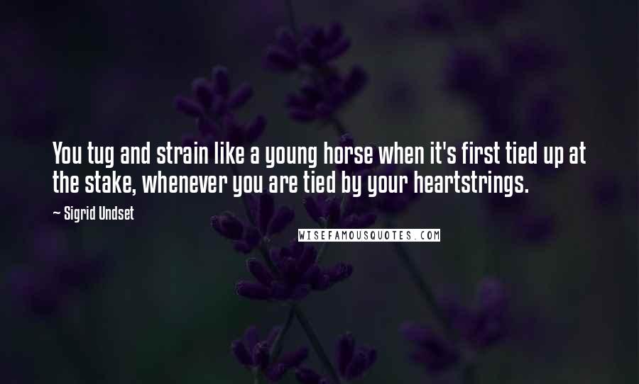 Sigrid Undset quotes: You tug and strain like a young horse when it's first tied up at the stake, whenever you are tied by your heartstrings.