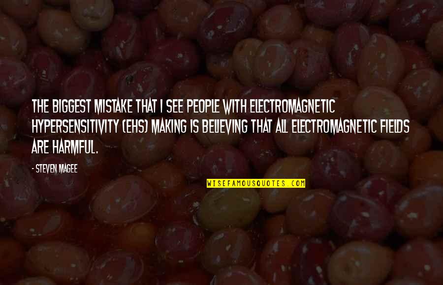 Siguientes Sinonimos Quotes By Steven Magee: The biggest mistake that I see people with