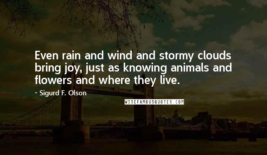 Sigurd F. Olson quotes: Even rain and wind and stormy clouds bring joy, just as knowing animals and flowers and where they live.