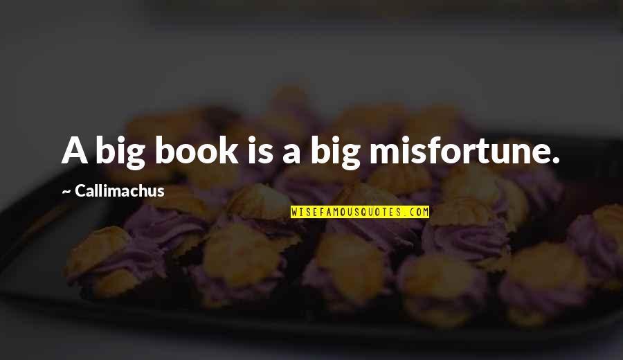 Sijil Pengendalian Quotes By Callimachus: A big book is a big misfortune. Sijil Pengendalian Quotes By Callimachus: A big book is a big misfortune.