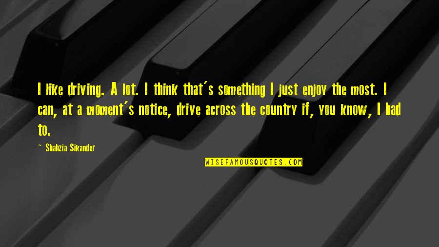 Sikander 1 Quotes By Shahzia Sikander: I like driving. A lot. I think that's Sikander 1 Quotes By Shahzia Sikander: I like driving. A lot. I think that's