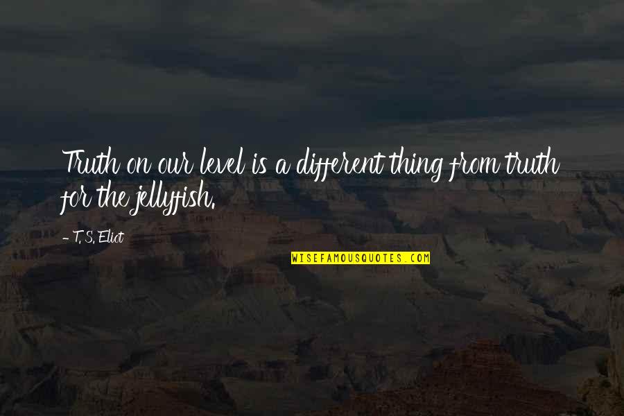 Silage Tarp Quotes By T. S. Eliot: Truth on our level is a different thing