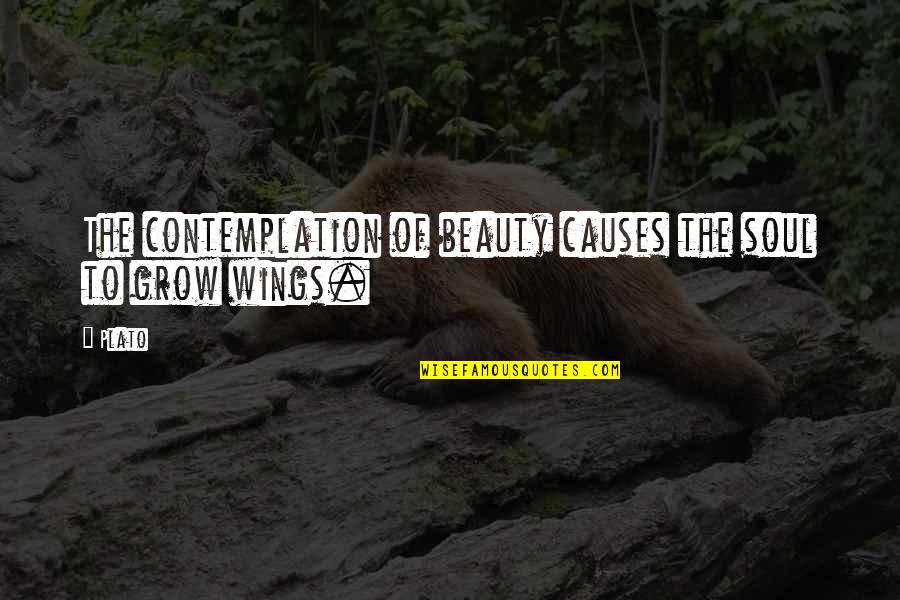 Silcock Keys Quotes By Plato: The contemplation of beauty causes the soul to