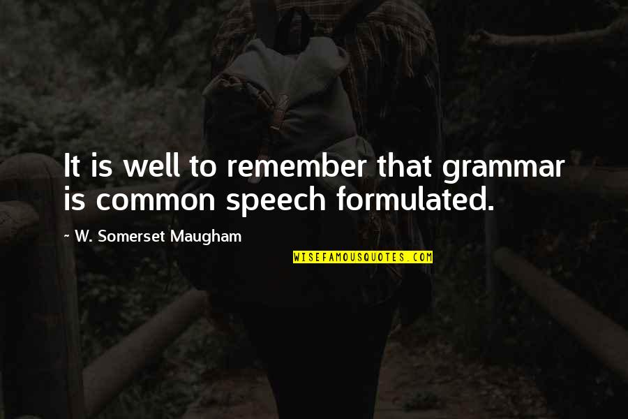 Silence And Distance Quotes By W. Somerset Maugham: It is well to remember that grammar is