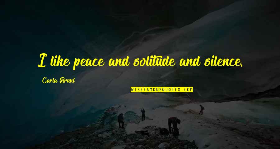 Silence And Solitude Quotes By Carla Bruni: I like peace and solitude and silence.