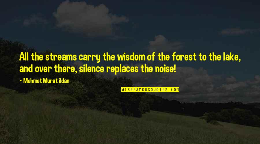Silence And Wisdom Quotes By Mehmet Murat Ildan: All the streams carry the wisdom of the