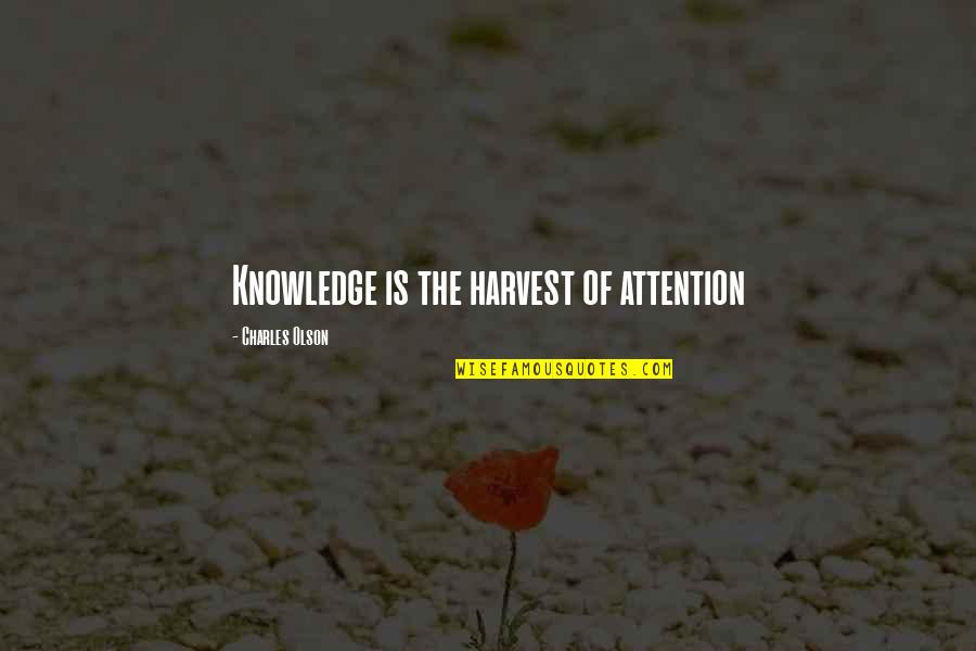 Silence For Ignorance Quotes By Charles Olson: Knowledge is the harvest of attention