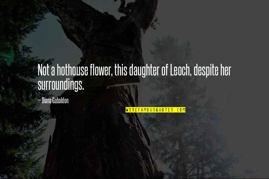 Silence In The Book Night Quotes By Diana Gabaldon: Not a hothouse flower, this daughter of Leoch,