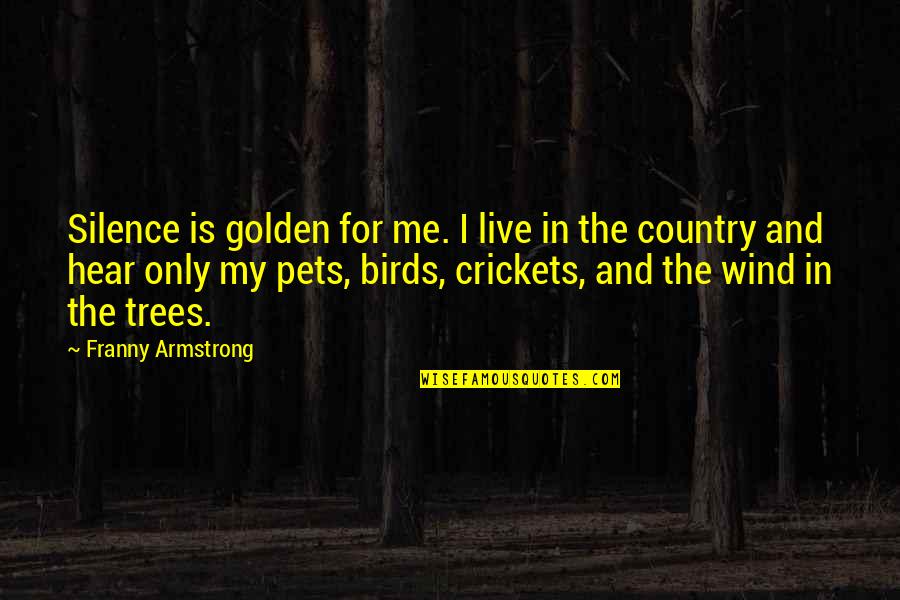 Silence Is Golden Quotes By Franny Armstrong: Silence is golden for me. I live in Silence Is Golden Quotes By Franny Armstrong: Silence is golden for me. I live in