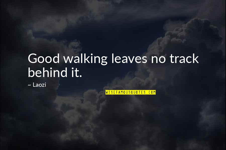 Silence Of The Sea Quotes By Laozi: Good walking leaves no track behind it.