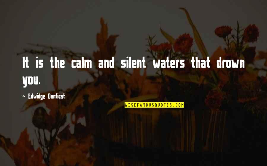 Silent And Calm Quotes By Edwidge Danticat: It is the calm and silent waters that