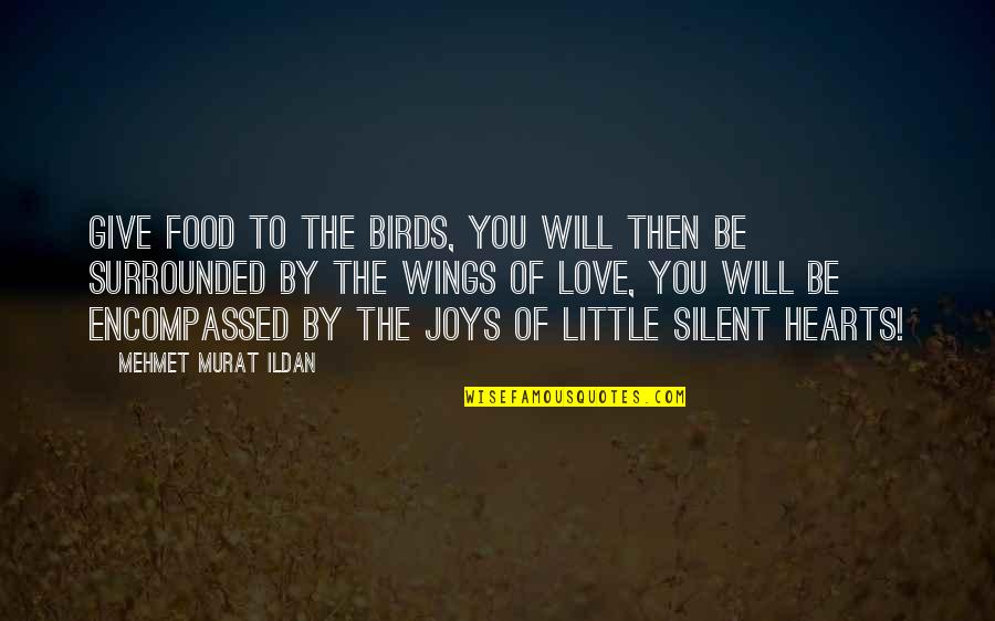 Silent Love Quotes By Mehmet Murat Ildan: Give food to the birds, you will then