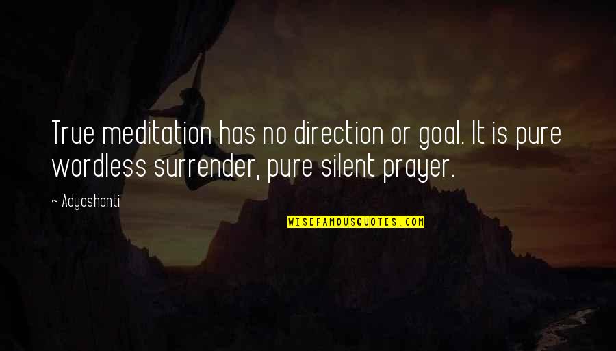 Silent Meditation Quotes By Adyashanti: True meditation has no direction or goal. It