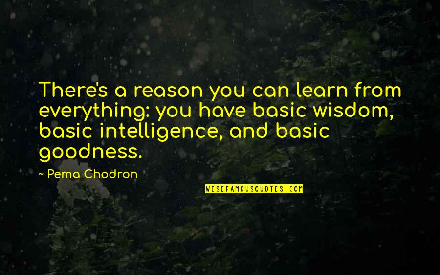 Silent Quill Quotes By Pema Chodron: There's a reason you can learn from everything: