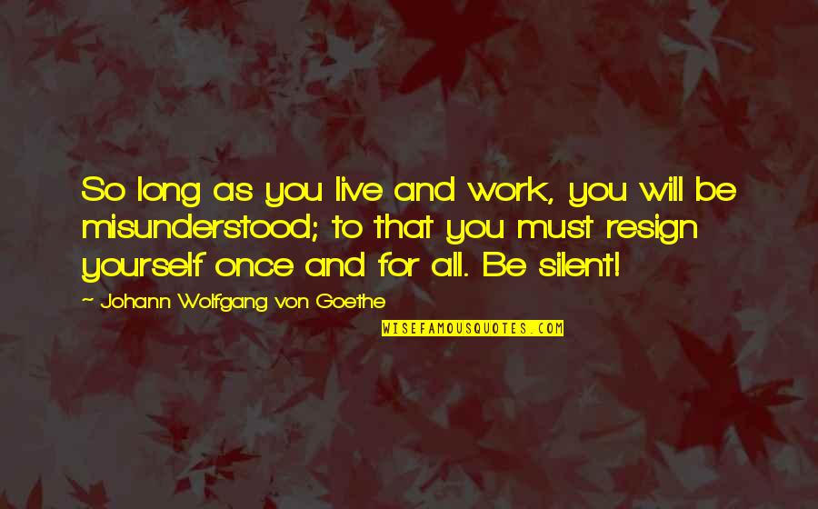 Silent Understanding Quotes By Johann Wolfgang Von Goethe: So long as you live and work, you