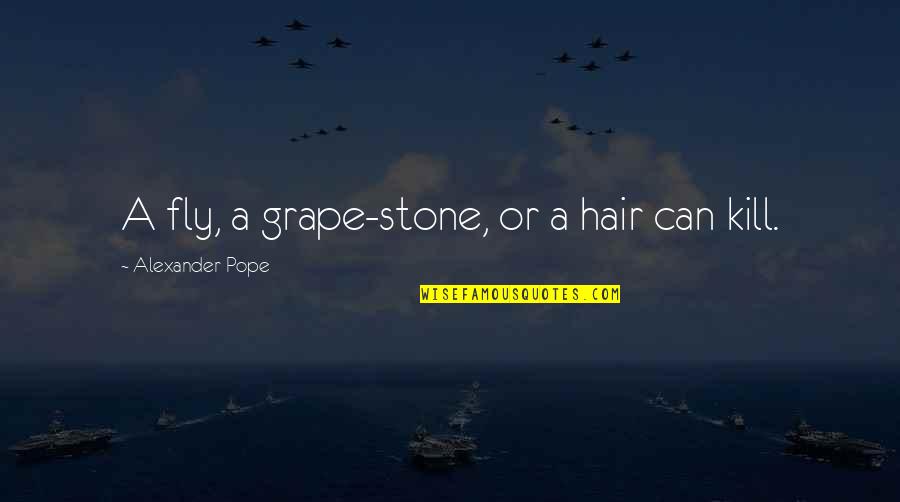 Silenus The Satyr Quotes By Alexander Pope: A fly, a grape-stone, or a hair can Silenus The Satyr Quotes By Alexander Pope: A fly, a grape-stone, or a hair can