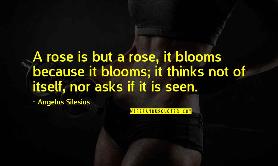 Silesius Quotes By Angelus Silesius: A rose is but a rose, it blooms