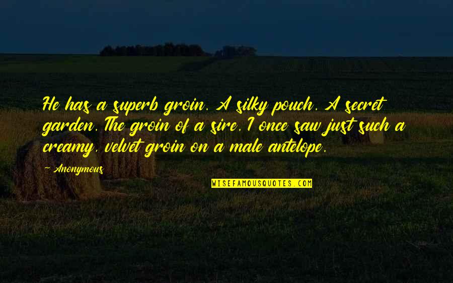 Silky Quotes By Anonymous: He has a superb groin. A silky pouch.