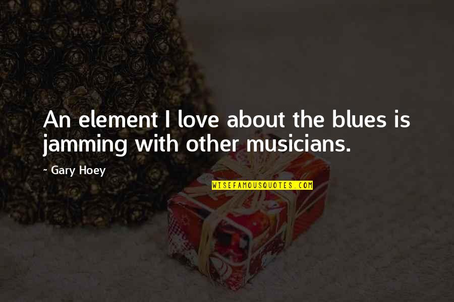 Sillerman Fellowship Quotes By Gary Hoey: An element I love about the blues is