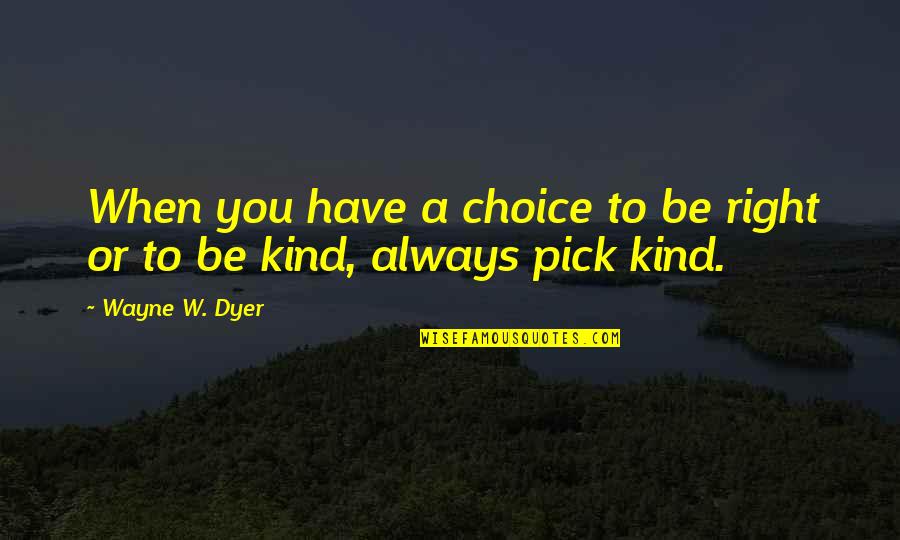 Sillily Clothes Quotes By Wayne W. Dyer: When you have a choice to be right