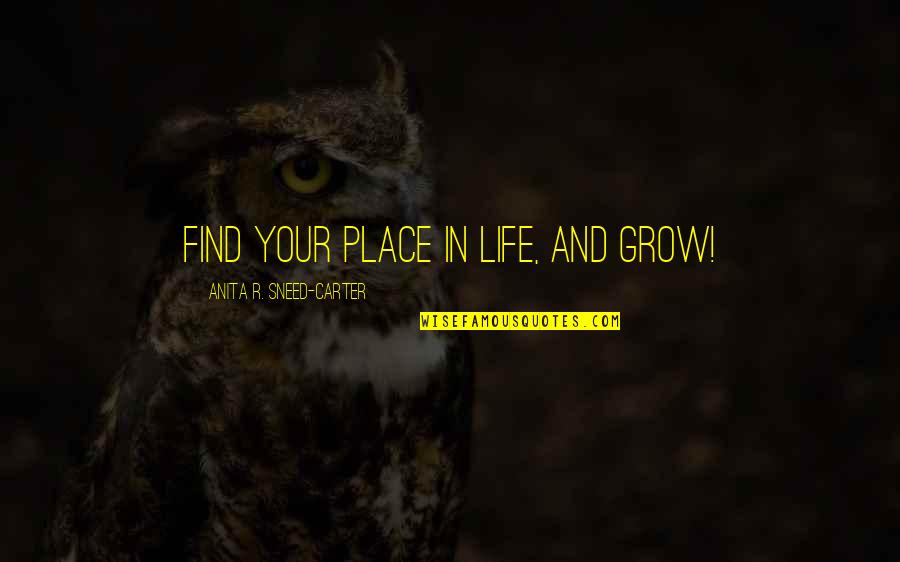 Silly Philosophical Quotes By Anita R. Sneed-Carter: Find your place in life, and GROW! Silly Philosophical Quotes By Anita R. Sneed-Carter: Find your place in life, and GROW!