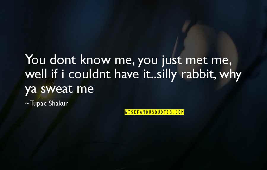 Silly Rabbit Quotes By Tupac Shakur: You dont know me, you just met me,
