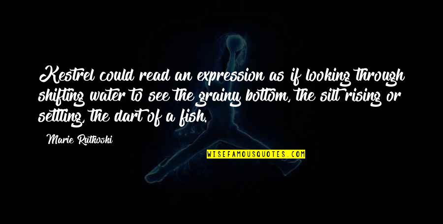 Silt Quotes By Marie Rutkoski: Kestrel could read an expression as if looking Silt Quotes By Marie Rutkoski: Kestrel could read an expression as if looking