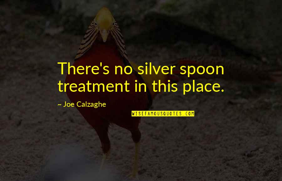 Silver Spoons Quotes By Joe Calzaghe: There's no silver spoon treatment in this place.