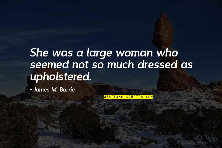 Silver Tongued Quotes By James M. Barrie: She was a large woman who seemed not