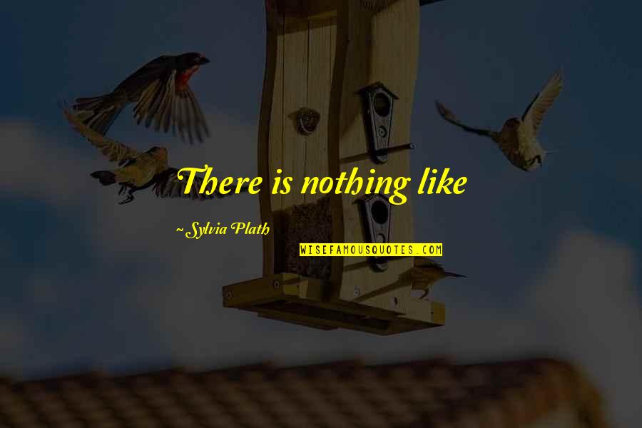 Silver Tree Quotes By Sylvia Plath: There is nothing like