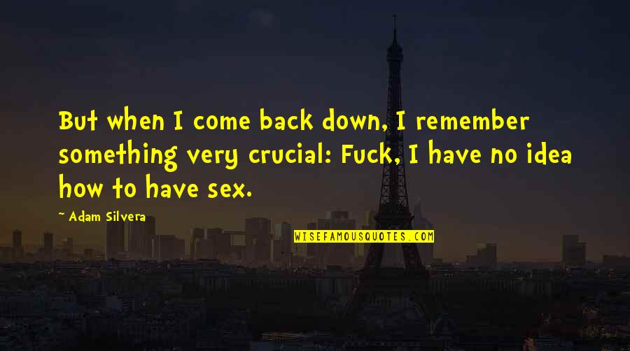 Silvera Quotes By Adam Silvera: But when I come back down, I remember Silvera Quotes By Adam Silvera: But when I come back down, I remember