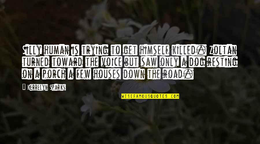 Silverback Quotes By Kerrelyn Sparks: Silly human is trying to get himself killed. Silverback Quotes By Kerrelyn Sparks: Silly human is trying to get himself killed.