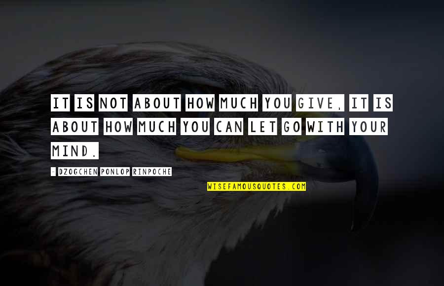 Silverio Salinas Quotes By Dzogchen Ponlop Rinpoche: It is not about how much you give, Silverio Salinas Quotes By Dzogchen Ponlop Rinpoche: It is not about how much you give,